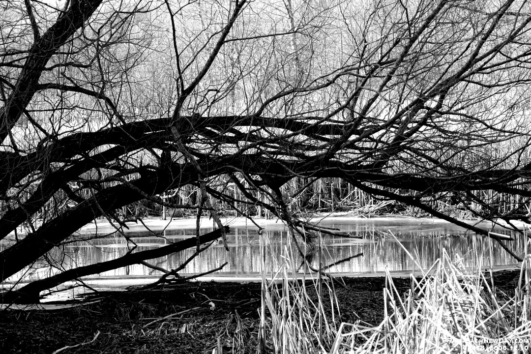 04478b - Photo expedition with Daniel at Lynde Shores Conservation Area